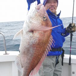 ARCADIAⅡ (アルカディアⅡ) 釣果