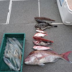 ARCADIAⅡ (アルカディアⅡ) 釣果