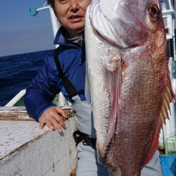 だて丸 釣果