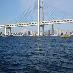 金沢八景鴨下丸 釣果