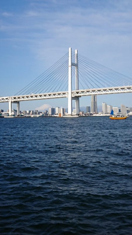 金沢八景鴨下丸 釣果