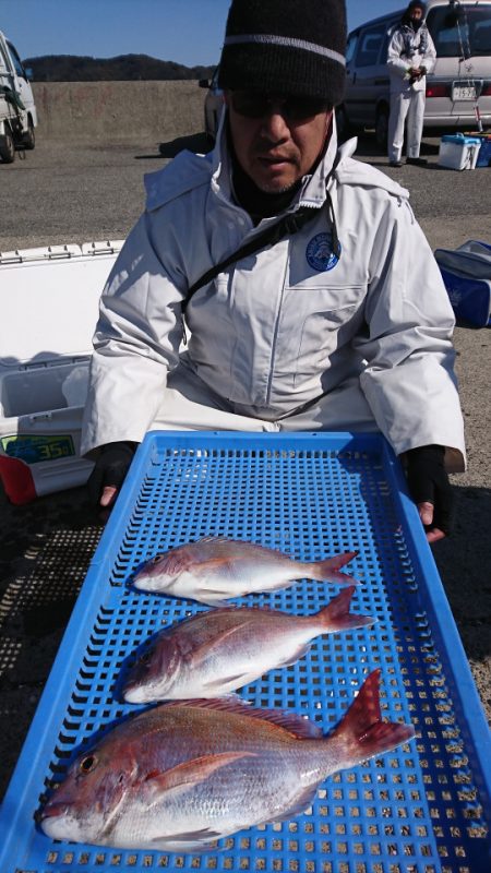 第三共栄丸 釣果