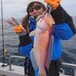 ARCADIAⅡ （アルカディアⅡ） 釣果