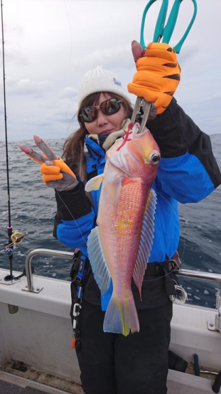 ARCADIAⅡ （アルカディアⅡ） 釣果…