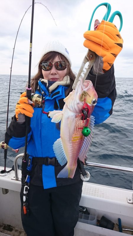 ARCADIAⅡ （アルカディアⅡ） 釣果