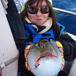 ARCADIAⅡ （アルカディアⅡ） 釣果