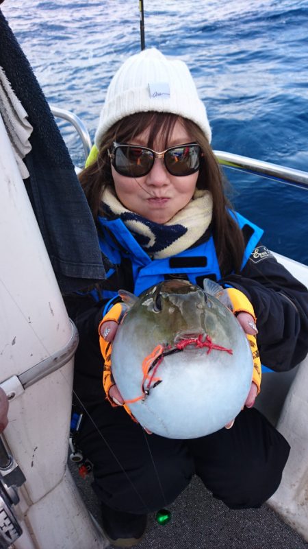 ARCADIAⅡ （アルカディアⅡ） 釣果