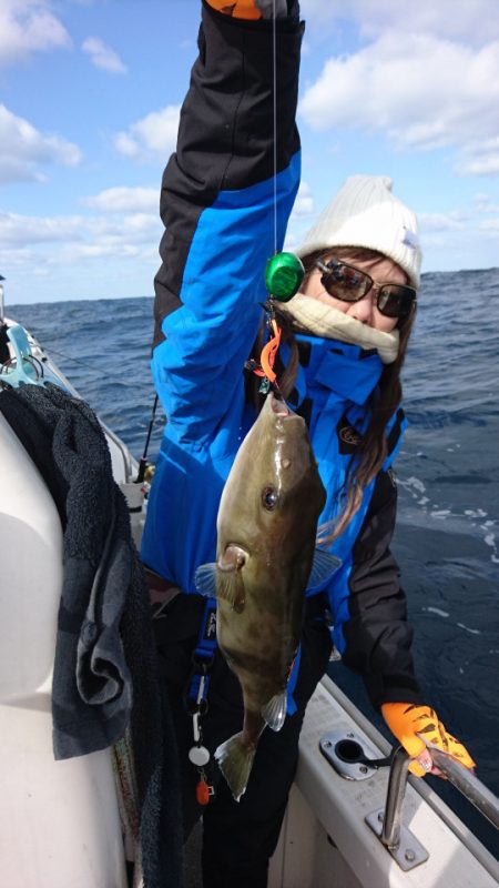 ARCADIAⅡ （アルカディアⅡ） 釣果