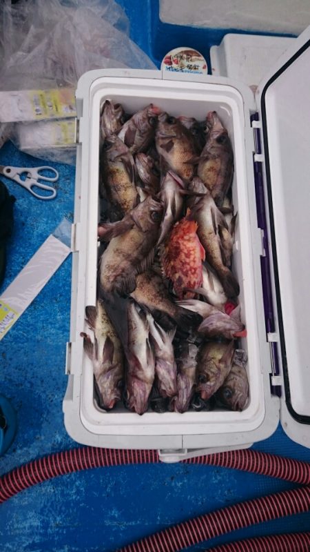 海龍丸（石川） 釣果