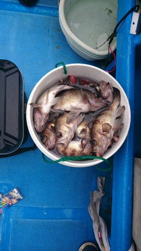 海龍丸（石川） 釣果