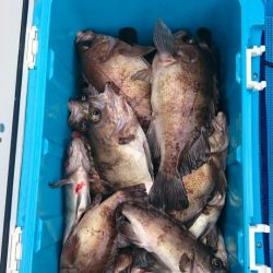 海龍丸（石川） 釣果