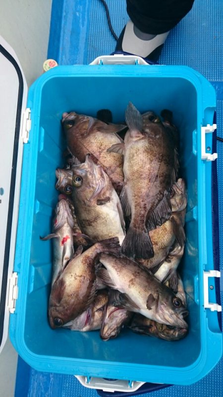 海龍丸（石川） 釣果