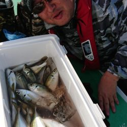 金沢八景鴨下丸 釣果