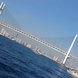 金沢八景鴨下丸 釣果