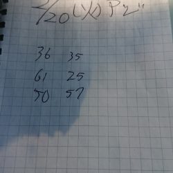 金沢八景鴨下丸 釣果