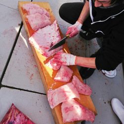 ブルースフィッシングサービス 釣果