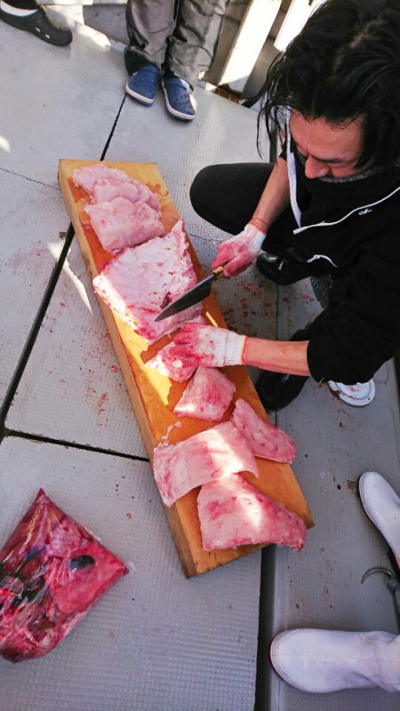 ブルースフィッシングサービス 釣果