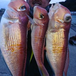 第三共栄丸 釣果