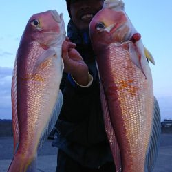 第三共栄丸 釣果