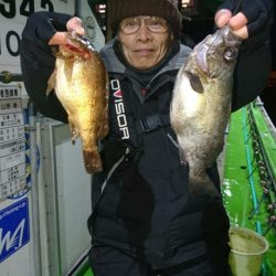 小島丸 釣果