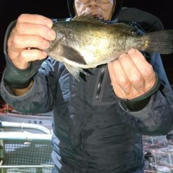 小島丸 釣果