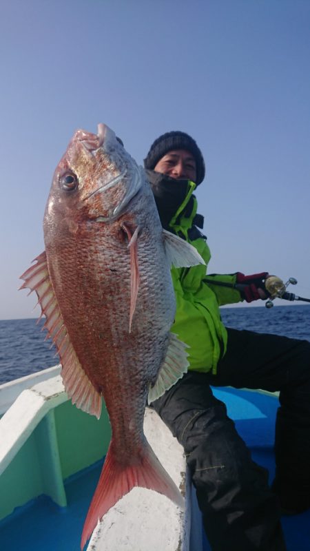 だて丸 釣果