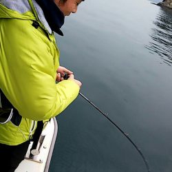 タイラバ遊漁船 ワンピース 釣果