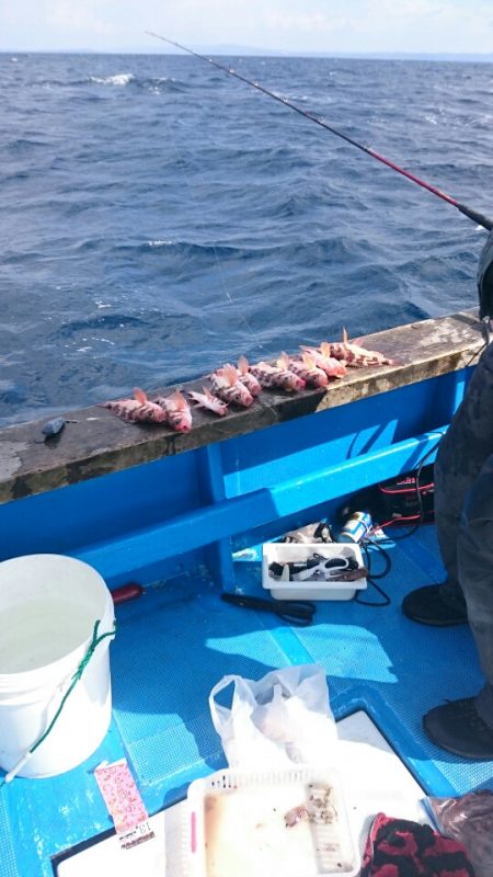 海龍丸（石川） 釣果