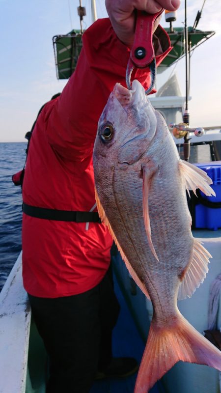 だて丸 釣果