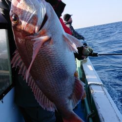 だて丸 釣果