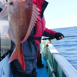 だて丸 釣果