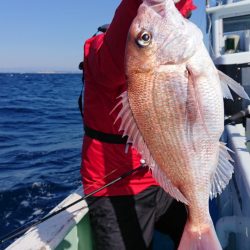 だて丸 釣果