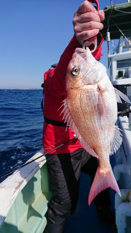 だて丸 釣果
