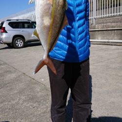 だて丸 釣果