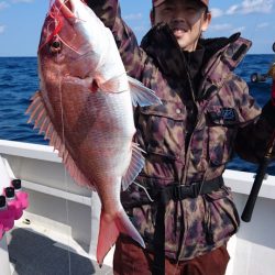 ARCADIAⅡ （アルカディアⅡ） 釣果