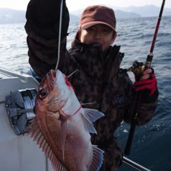 ARCADIAⅡ （アルカディアⅡ） 釣果