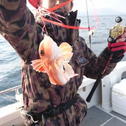 ARCADIAⅡ （アルカディアⅡ） 釣果