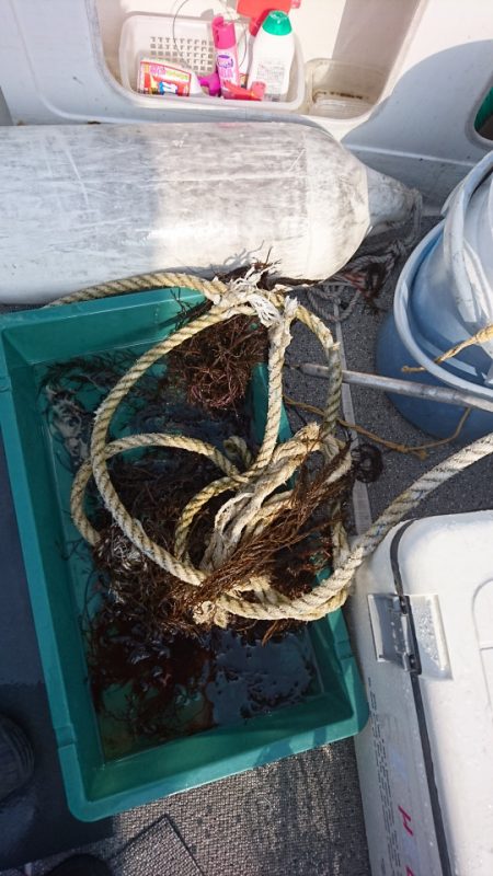 ARCADIAⅡ （アルカディアⅡ） 釣果