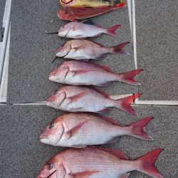 ARCADIAⅡ （アルカディアⅡ） 釣果