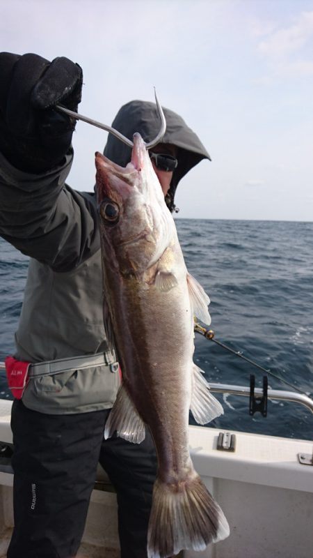 ARCADIAⅡ (アルカディアⅡ) 釣果