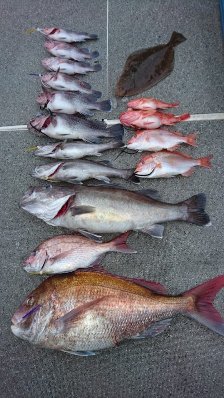 ARCADIAⅡ (アルカディアⅡ) 釣果