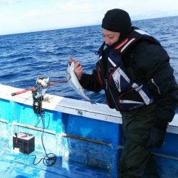 芳陽丸 釣果