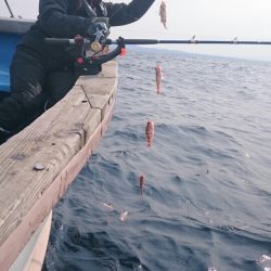 海龍丸（石川） 釣果