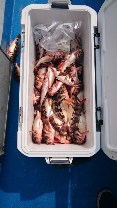 海龍丸（石川） 釣果