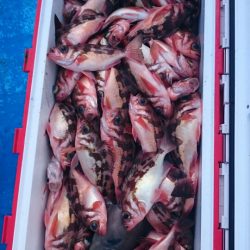 海龍丸（石川） 釣果