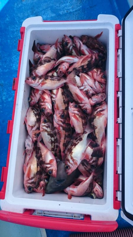 海龍丸（石川） 釣果