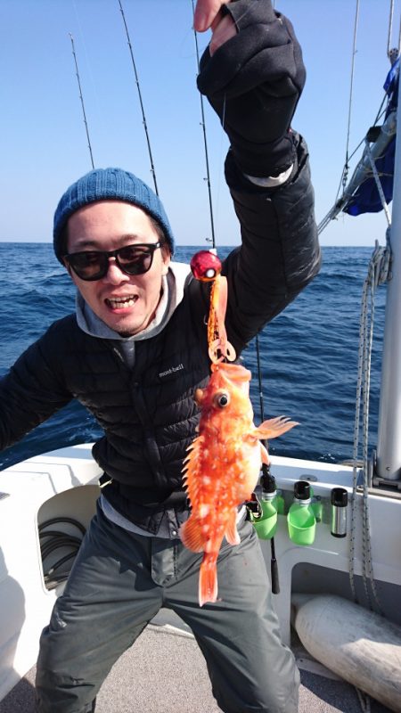 ARCADIAⅡ (アルカディアⅡ) 釣果