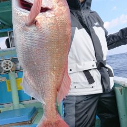 だて丸 釣果