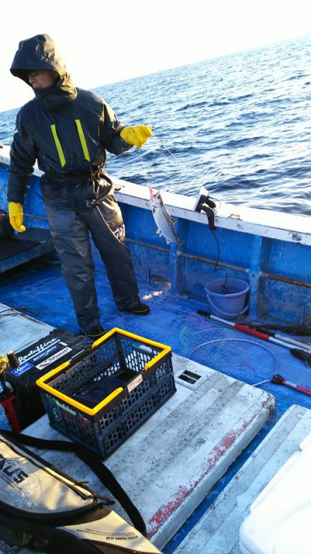 芳陽丸 釣果