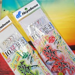 ブルースフィッシングサービス 釣果